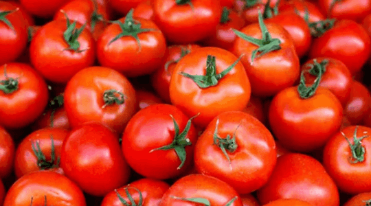 Indian Expat In Dubai Flies Home With 10kg Tomatoes In Suitcase
