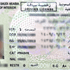 Saudi Sets 1-Year Limit for Foreign Driving Licences